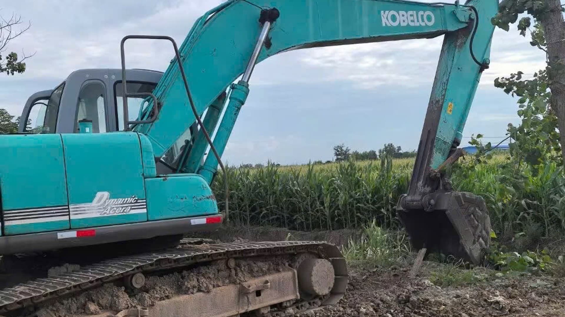 Máy Xúc KOBELCO SK 200-6